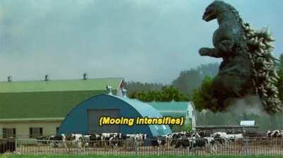 I can't stop laughing! I dont know why! Now every time I see this scene I'm gonna bust out laughing