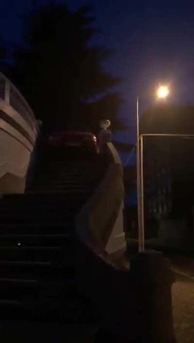 [Qualifiers WRC Bom Jesus]Aposto que não desces estas escadas com o teu carro. Hold my 🍻...