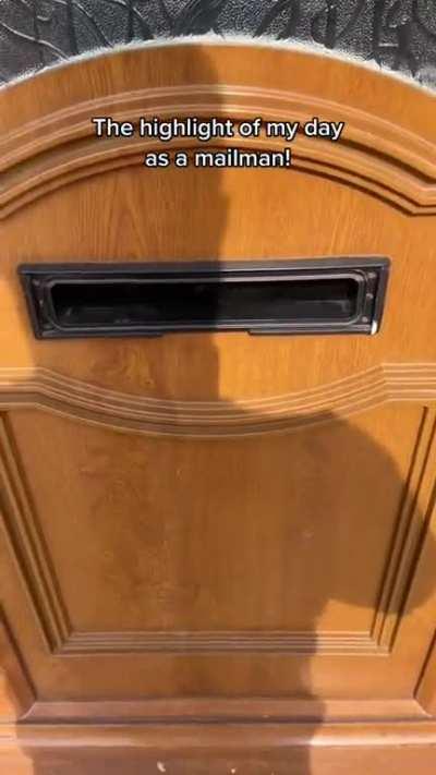 currently looking up how to become a postal worker