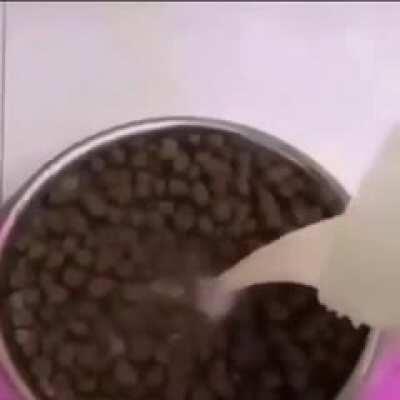 No puede ser tu mamita al verme