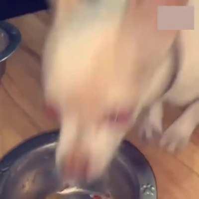 Outra versão de um meme q ja postei