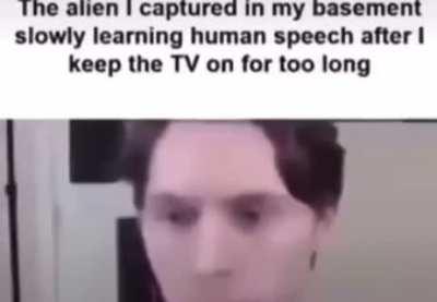 Dog, cat, hammer, money, dream