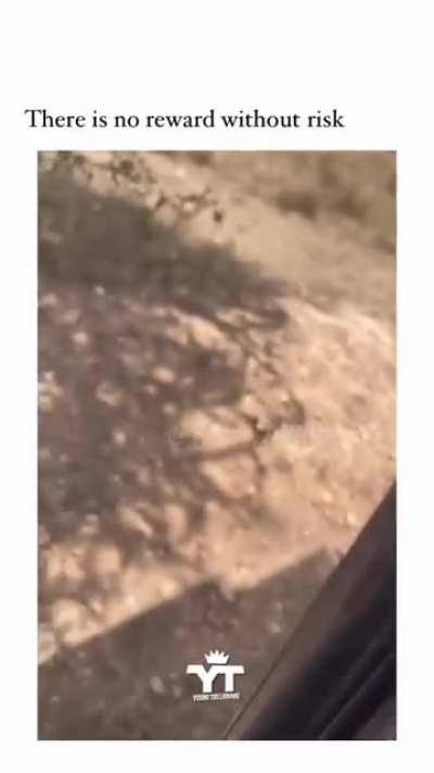 Guy drops his phone at an inopportune time.