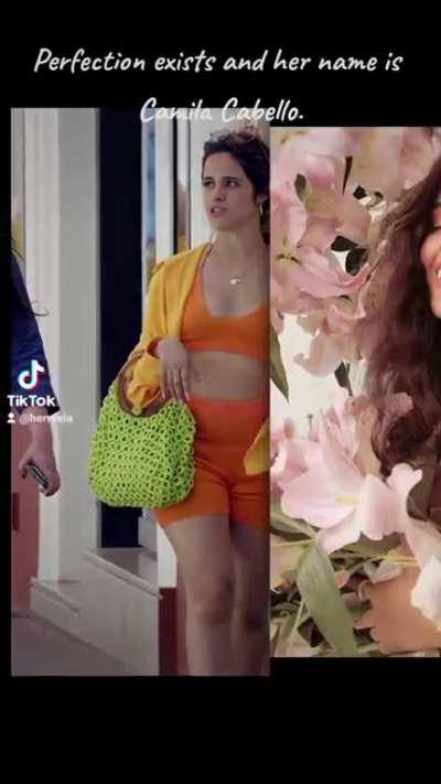 Perfection exists and her name is Camila Cabello.