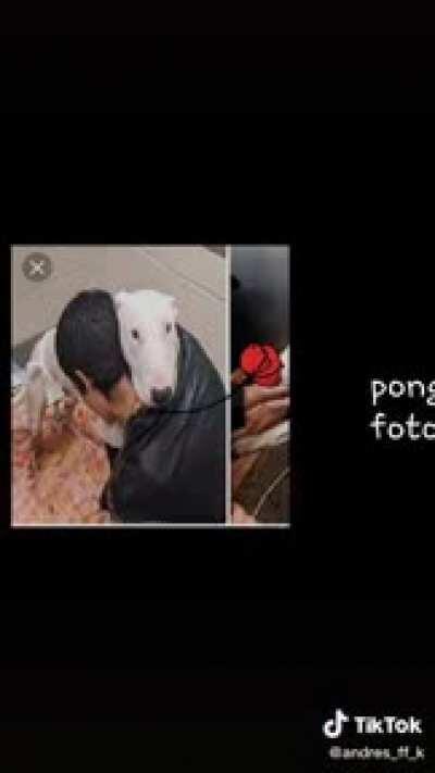 Todos lo recordaremos