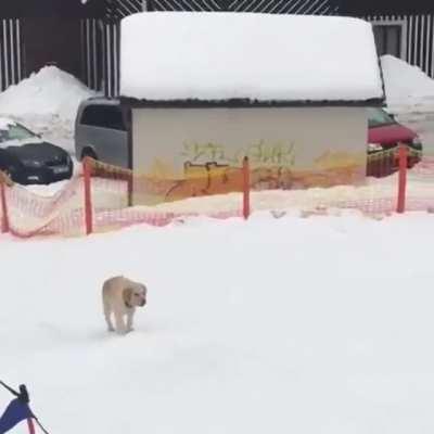 He discovered sliding downhill on the snow