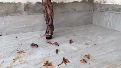 Goddess Lily, hard stomp craws, brutal…