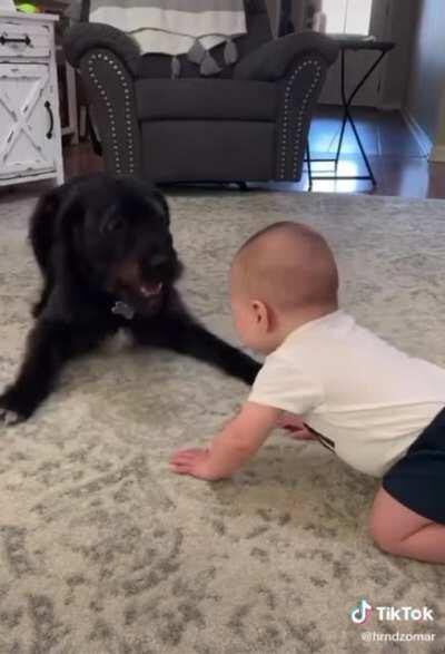 hUgE mOnsTer killing And EaTiNg a pooR babY