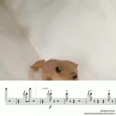 This video makes me so happy