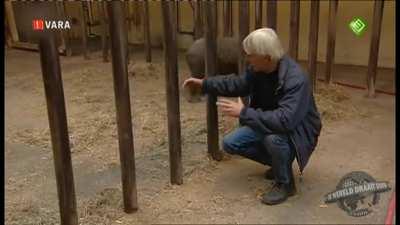 This might've be posted here before but I find this to be a classic