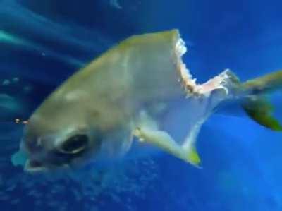 La clase media tratando de llegar a fin de mes cada vez que se inventan un nuevo impuesto