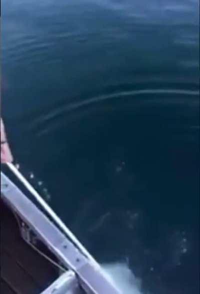 That’s some extreme fishing