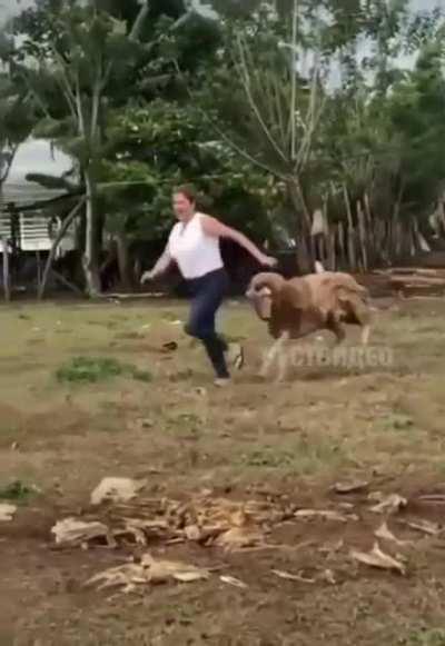 Vazou o vídeo da agressão a Joice Hasselmann