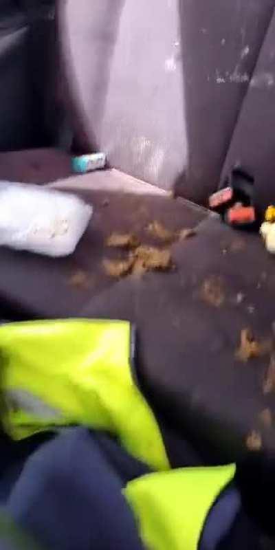 Left the dog for 10 minutes. Never again