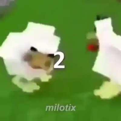 Top 5 patos (top 5 patos)