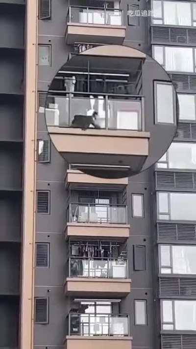 Would YOU manage this?