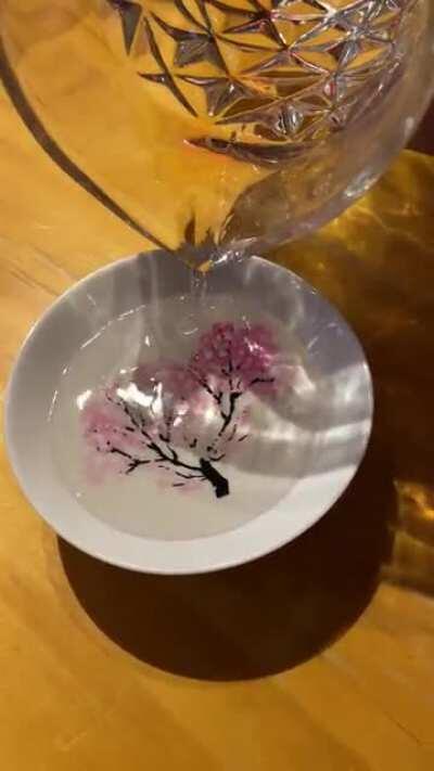 From Winter to Spring, with the help of some Sake