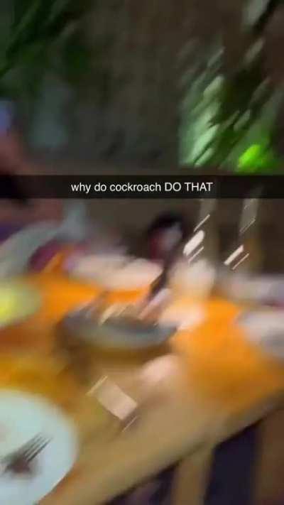 To get the Belgian chocolate 