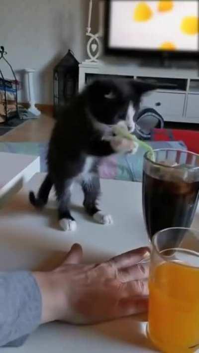 Trying To Drink From Straw