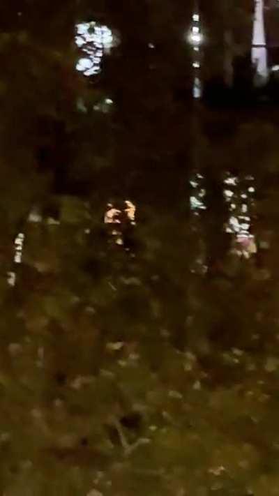 Linda noche en palermo