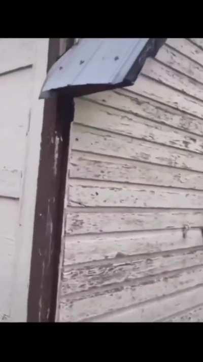 Não vou ver isso sozinho