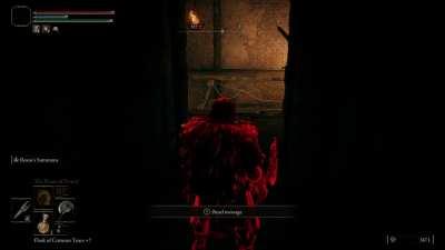 Pretty sure I invaded a looney toons episode