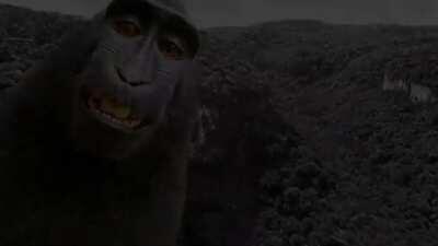 Grand Theft Monke (GTA IV Loading Screen)