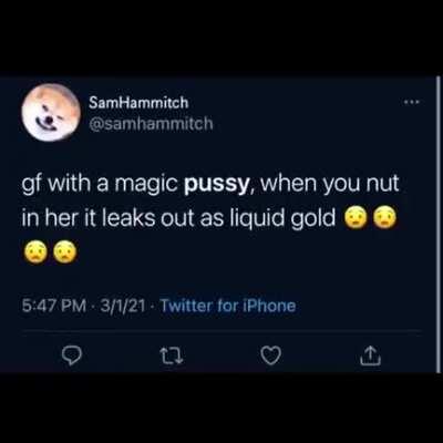 This guy really likes cats