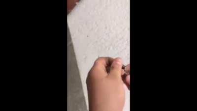 How to Make a Spy Gun