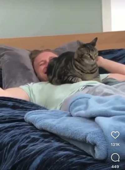 The joys of having a cat