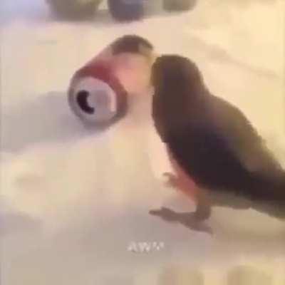 As vezes me pergunto pq nao tenho amigos:ㅤㅤㅤㅤㅤㅤㅤㅤㅤㅤㅤㅤㅤㅤㅤㅤㅤㅤAS COISAS QUE EU POSTO