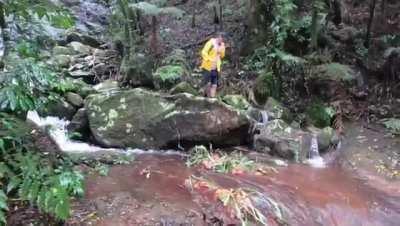 Don't go hiking in rainforests when it's wet season