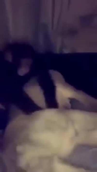 An interesting title