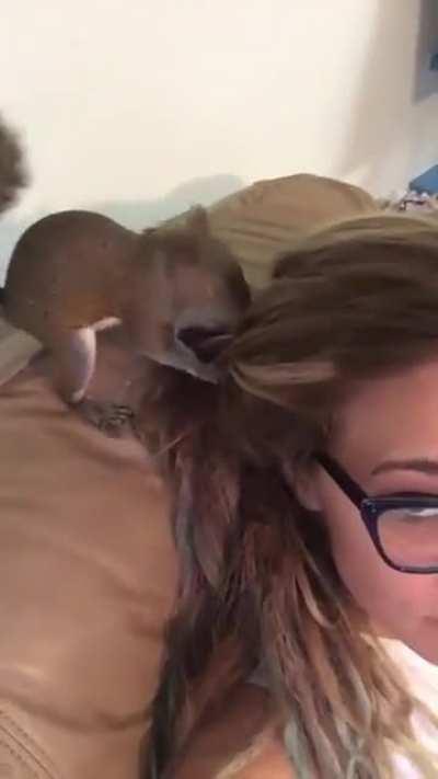 Perfect place to hide my cheeto