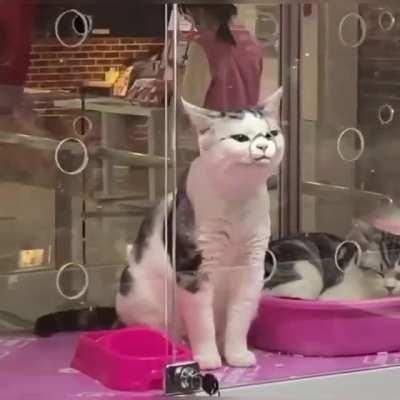 This airplane wanna fresh air