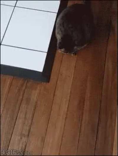 Yeah.. no.. F.. you!