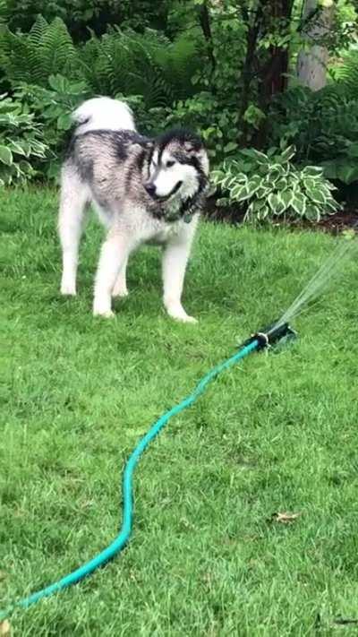 I was told to put this here?