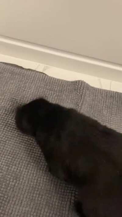 It’s her brush now.