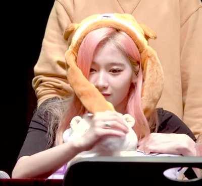 Corgi hat Sana