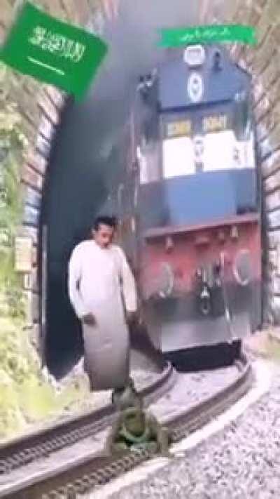 It’s the lion for me