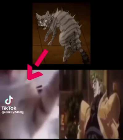 Forgotten Stardust crusader moment ❓