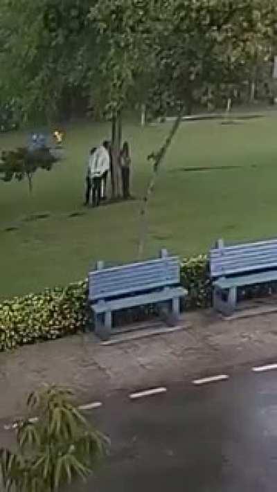 So this is why you don't stand under a tree during a lightning storm