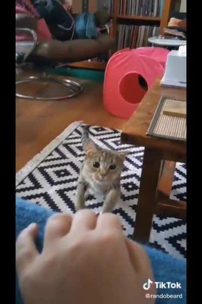 The way The ear was perfectly catculated to not hit the table