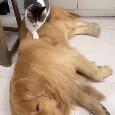 They Said They Were Too Different. They Said It Wouldn't Last