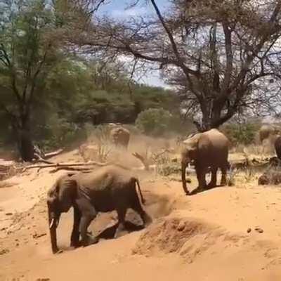 Now that’s using your head!