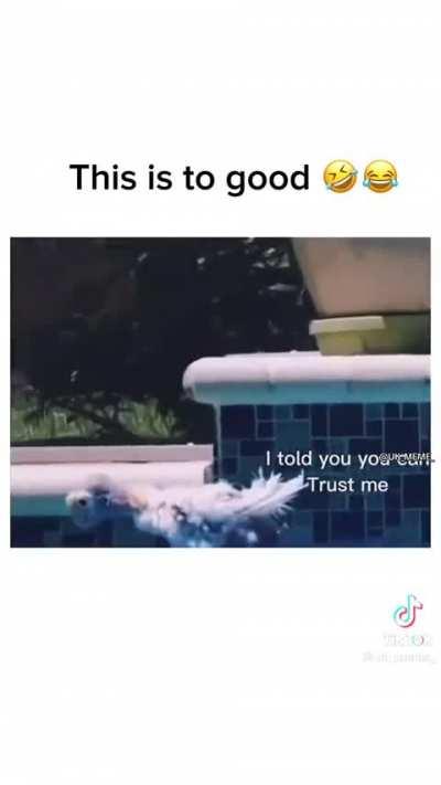 Als Qucee hier niet stuk om gaat ga ik kaal