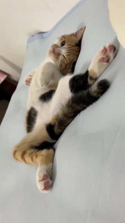 Buenos días. Lunes...