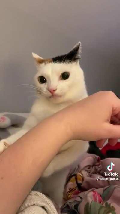 Why are you doing this?