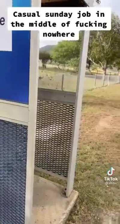 Typical Australian phone booth.