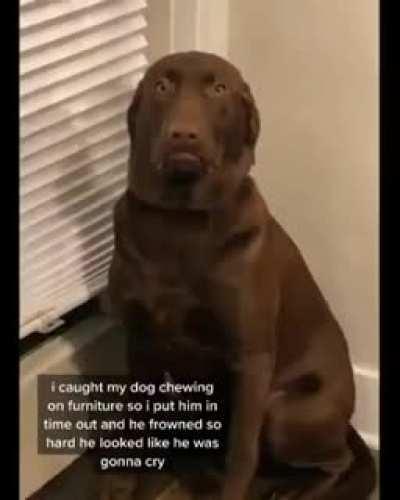 Holding onto his tears.